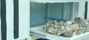 Storage Equipments for Museum
